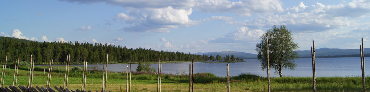 Tagungen